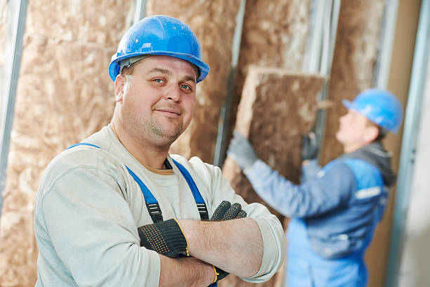 Best Basement Insulation  in Reinbeck, IA